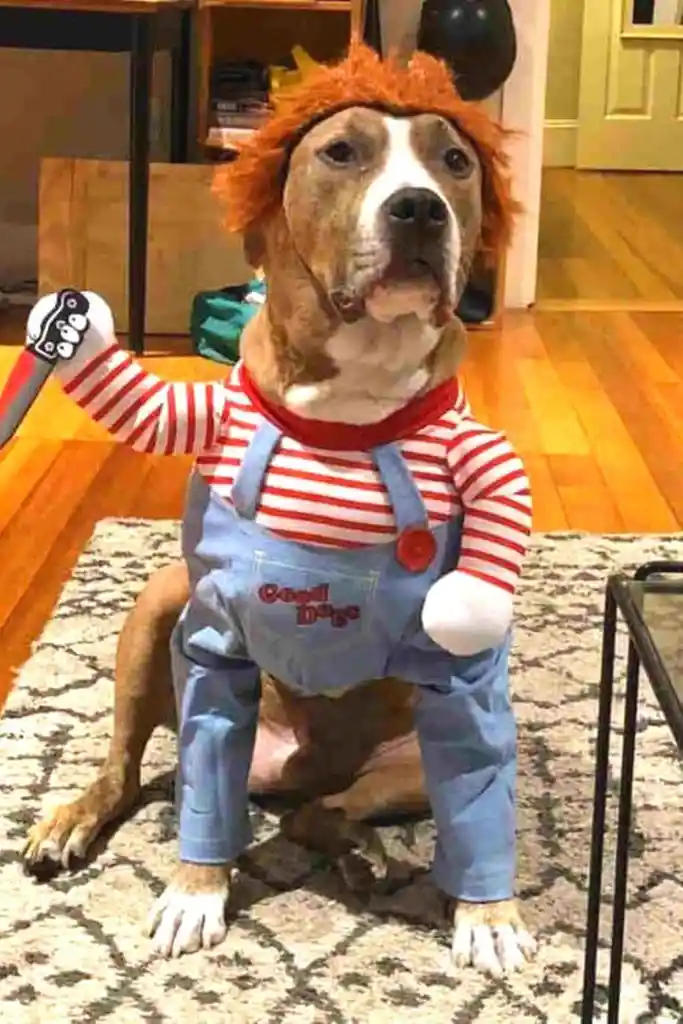 Disfraz Para Mascotas Chucky Talla M-l