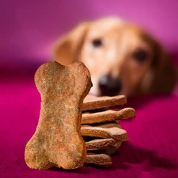 Galletas Para Perro De Manzana Y Zanahoria X 6 Unidades