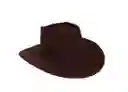 Sombrero Vaquero Para Niño Marron En Gamuza Toy Story