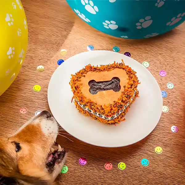 Torta Cumpleaños Perro Amore Mío Pollo 400 G