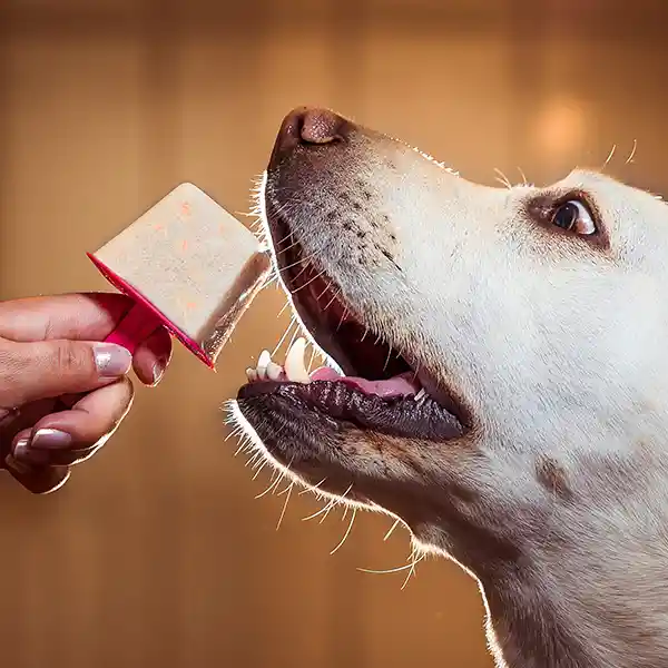 Helado Para Perro - Doguetas® De Ternera