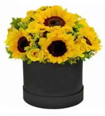 Bouquets De Girasoles