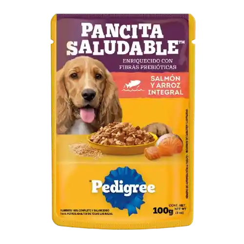 Pedigree Pouch Pancita Saludable Salmón Arroz 100gr