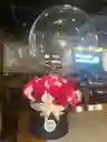Cilindro De Lujo Mediano Programar 2 Horas Antes