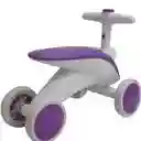 Carrito Impulso De Bebe Luces Y Sonido Morado
