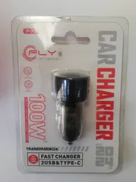 Cargador C Carro 100w