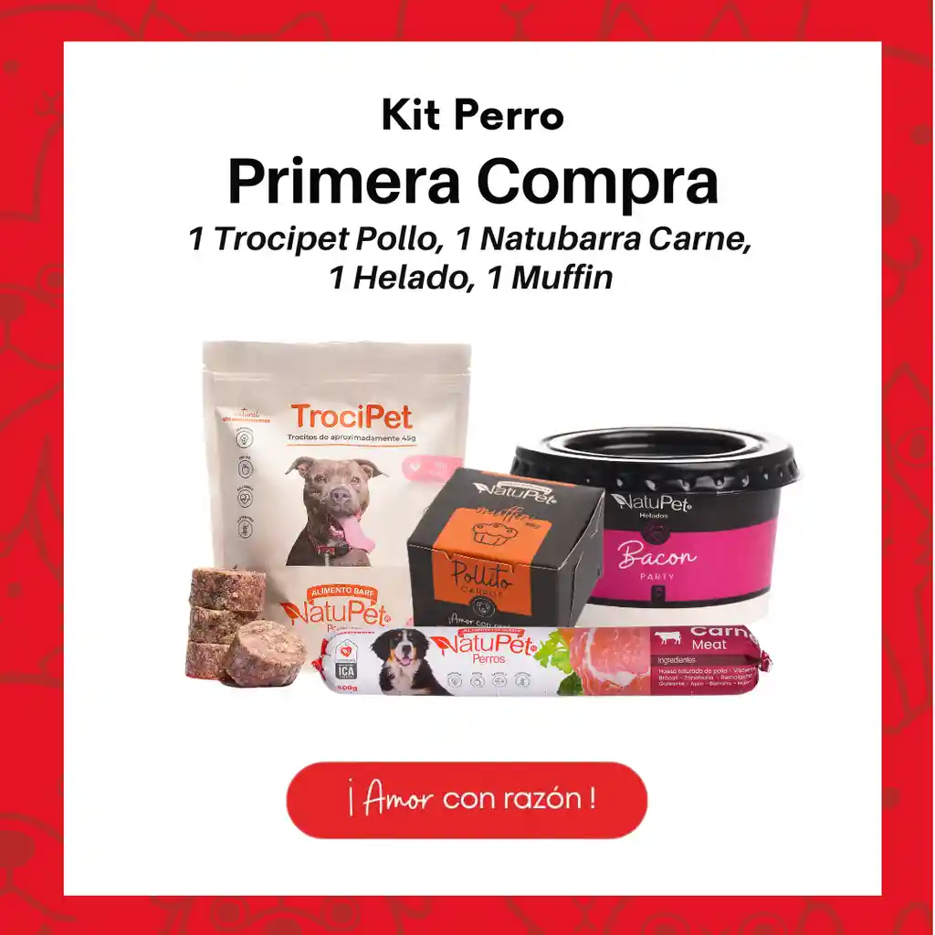 Kit Perro Primera Compra