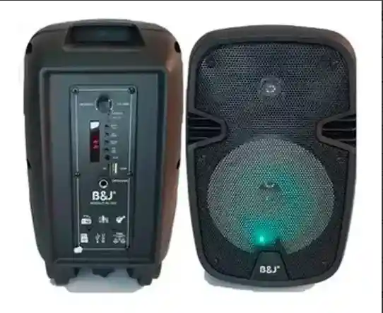 Cabina Con Alta Potencia Bj Rl302 Parlante Altavoz 6,5 Pulg