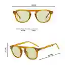 Pixxiesx Aster Orange Green