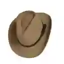 Sombrero Para Hombre Explorador Indiana Jones En Drill Beige