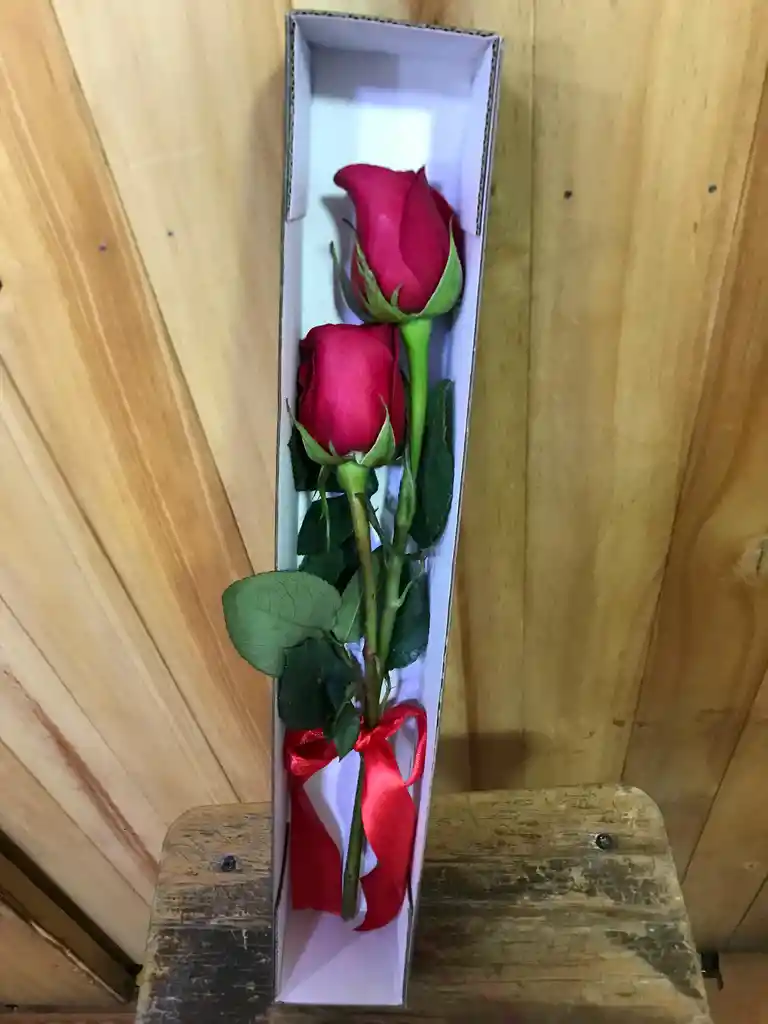 Caja Especial Con Rosas