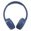 Jbl Tune 660 Diadema Bluetooth Original