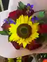 Rosas Girasol