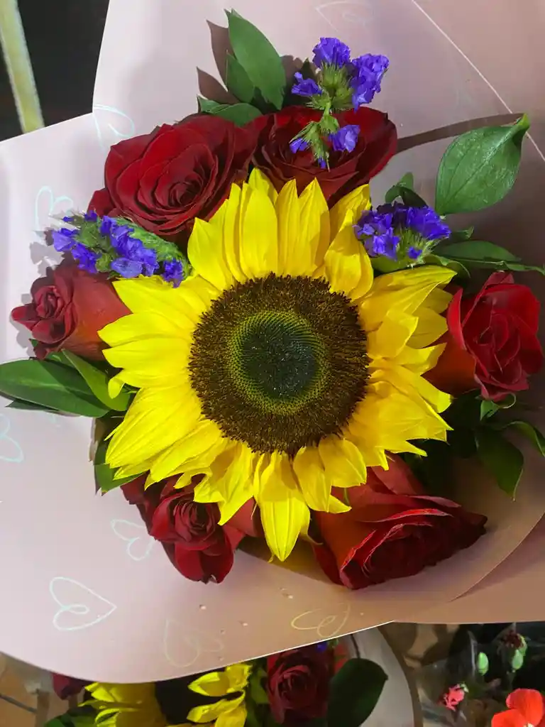 Rosas Girasol