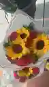 Rosas Girasol