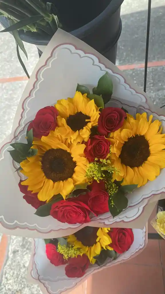 Rosas Girasol