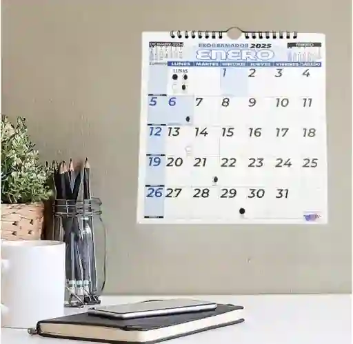 Calendario Programador 2025 Cuadrado 23x23