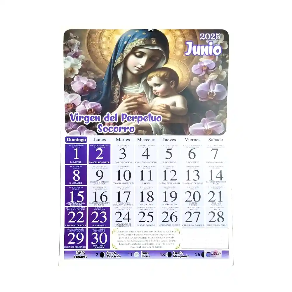 Calendario Almanaque 2025 De Pared Vertical Virgenes