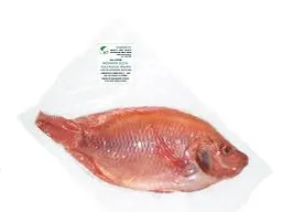 Mojarra Roja