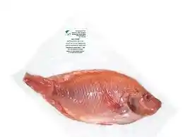 Mojarra Roja