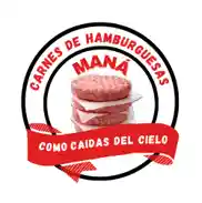 Carne De Hamburguesa Silver