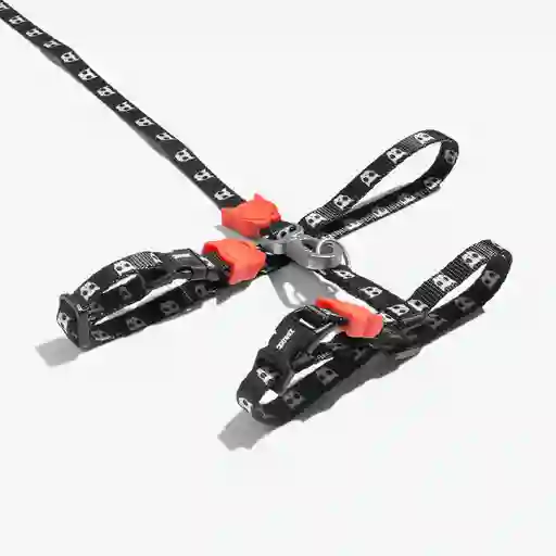 Skull 2.0 Harness + Leash Set