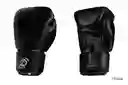 Guantes Boxeo 14oz