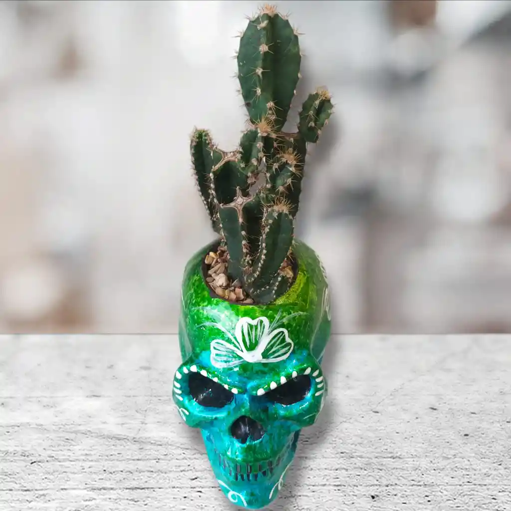 Cactus En Matera De Ceramica Diseño Calavera