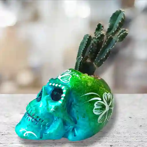 Cactus En Matera De Ceramica Diseño Calavera