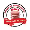 Carne De Hamburguesa De Pollo Tradicional