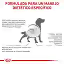 Concentrado Perros Royal Canin Gastrointestinal High Fibre (vhn Gastro Dog 2kg)