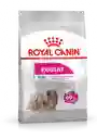 Concentrado Perro Royal Canin Exigent Mini 3kg (ccn Mini Exigent 3kg)