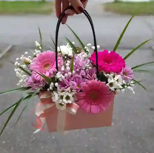 Bolso De Gerberas Pastel: Alegría Y Color En Cada Paso" 🌼👜