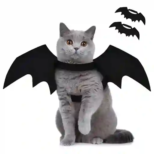 Disfraz Para Gato