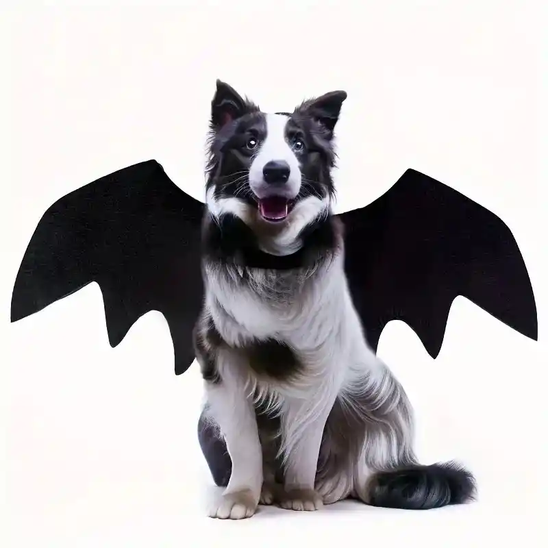 Disfraz Para Perro Talla S