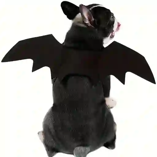 Disfraz Para Perro Talla S