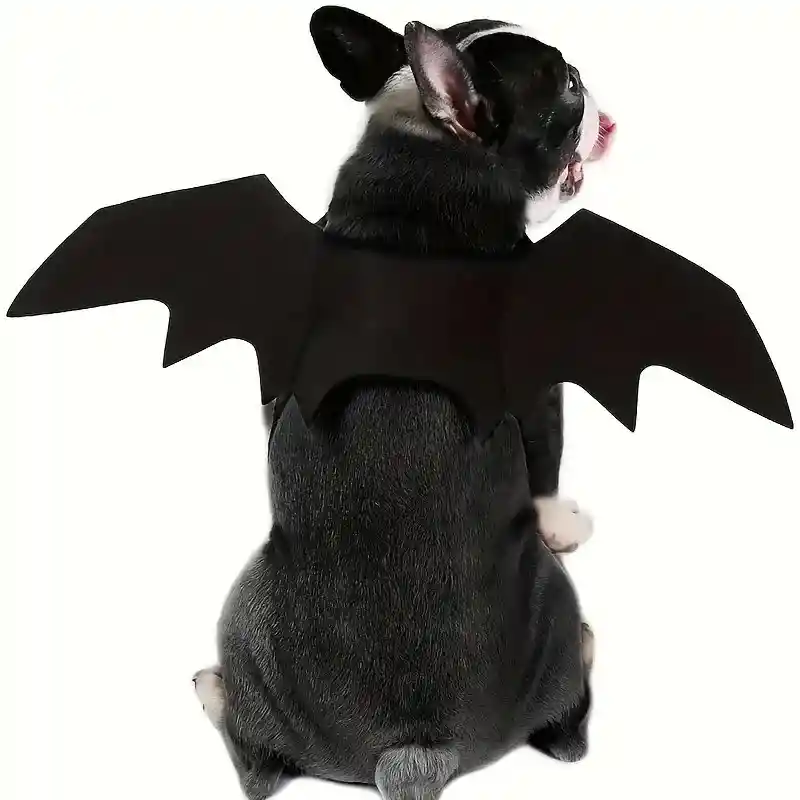 Disfraz Para Perro Talla S