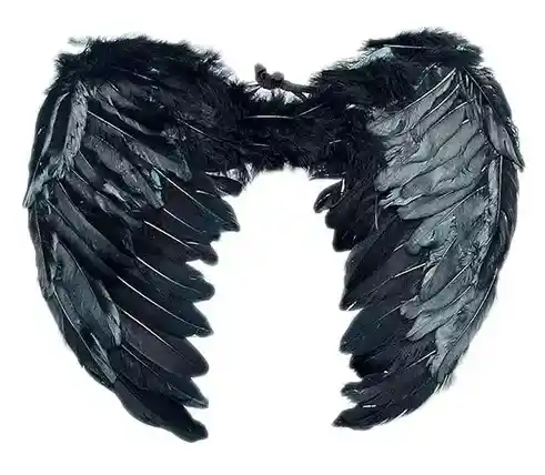 Alas De Angel Medianas 40x54 De Plumas Color Negro Halloween Disfraz