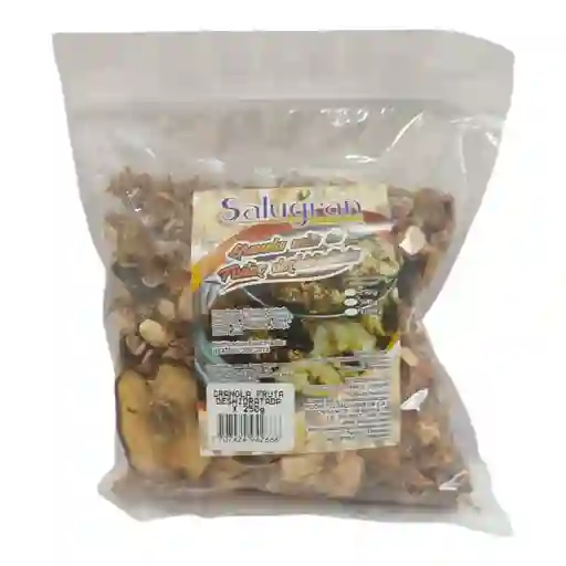 Granola Frutas Deshidratada X 250gr Salugran