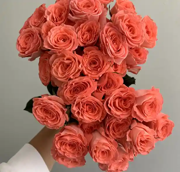 Rosas Salmón X36bouquet