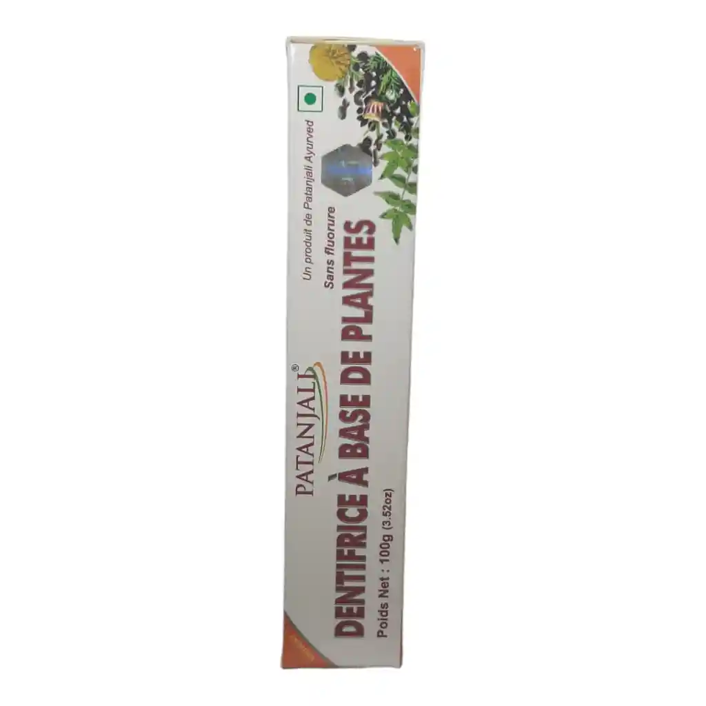 Herbal Toothpaste 100 Gr Patanjali