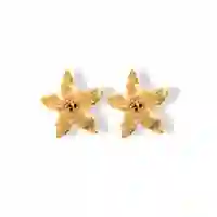 Aretes Con Flor De Jazmín