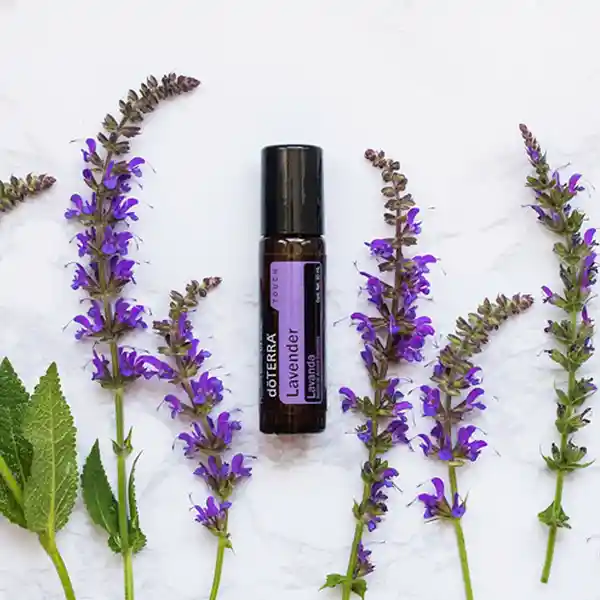 Aceite Esencial Lavanda Touch 10 Ml Doterra