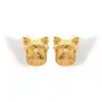 Aretes De Yorkie