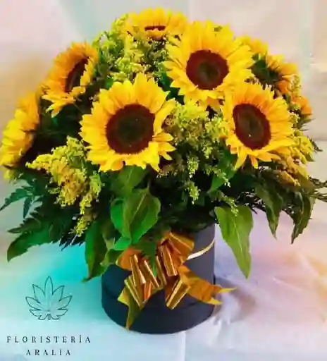 Sunflower Box Mediana