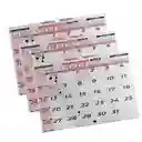 Set X 3 Calendario 2025 Horizontal Grande