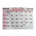 Set X 3 Calendario 2025 Horizontal Grande