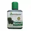 Fertilizante Cactus Y Suculenta Confiabonos 120ml