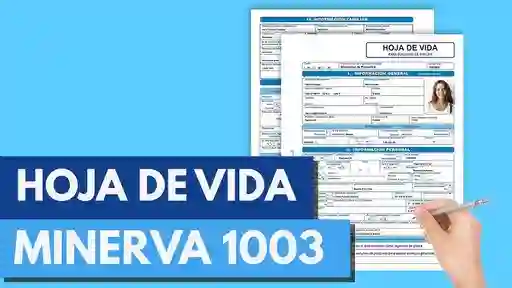 Hoja De Vida Minerva