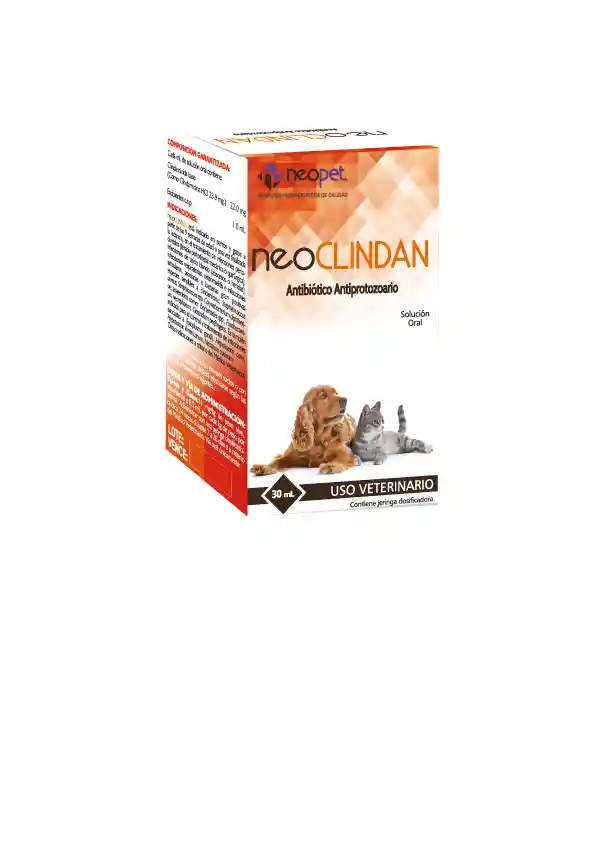 Neoclindan X 60 Ml